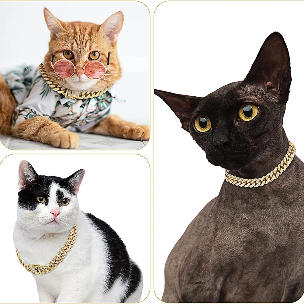 Strass cão corrente colar de m - Chain Quick Link avaliação e preço